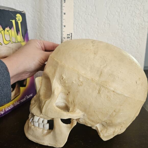 Vintage Halloween Skull Blow Mold Hinged Moveable Jaw Paper Magic Group - Picture 9 of 10